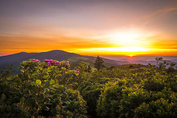 staatsforstpark roan mountain sonnenuntergang - wnc stock-fotos und bilder