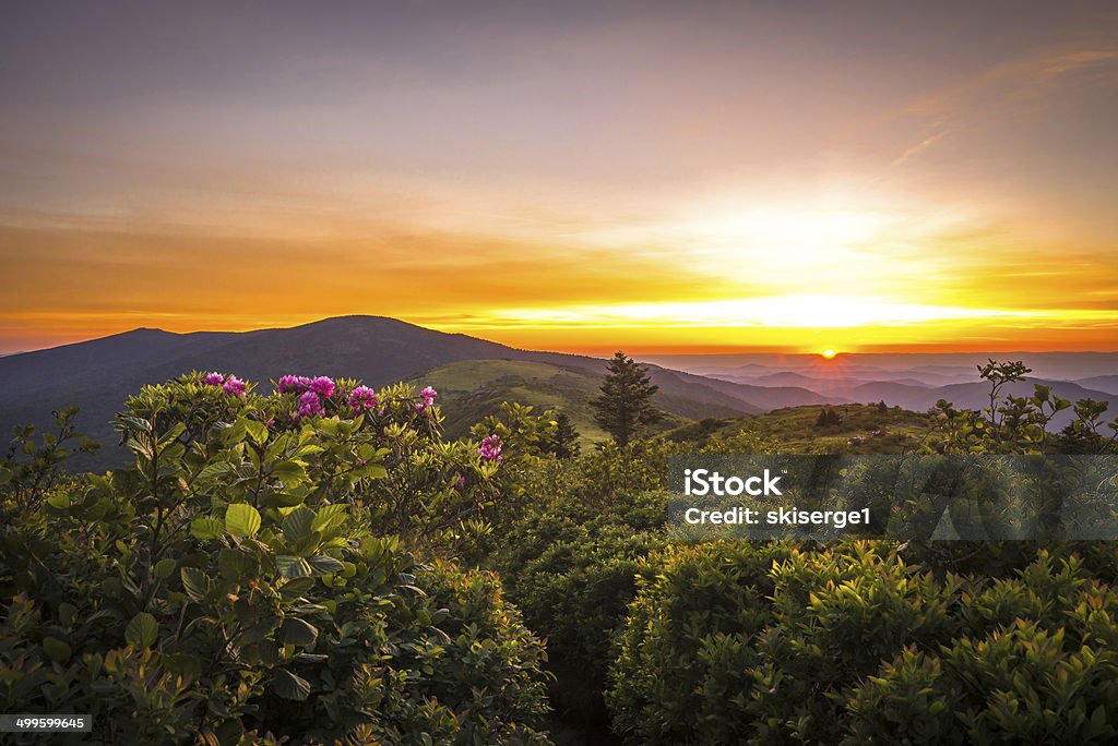 Roan Mountain Sunset Sunset from Grassy Ridge overlooking the other Roan Balds, Jane Bald, Round Bald, Roan high knob. It was a very colorful sunset with the Rhododenrons blooming this week. Tennessee Stock Photo