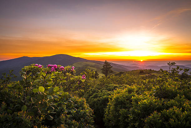 Roan Mountain Sunset Sunset from Grassy Ridge overlooking the other Roan Balds, Jane Bald, Round Bald, Roan high knob. It was a very colorful sunset with the Rhododenrons blooming this week. appalachian mountains photos stock pictures, royalty-free photos & images