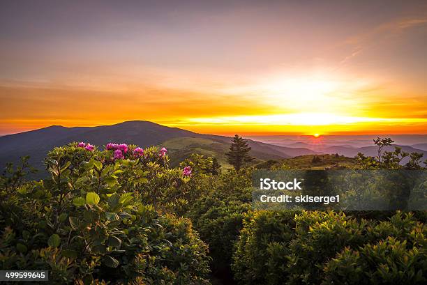 Roan Mountain Sunset Stock Photo - Download Image Now - Tennessee, North Carolina - US State, East