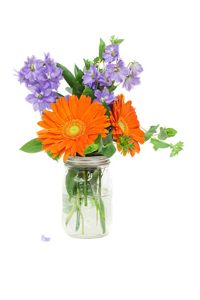 istock Orange Gerbera Daisies and Delphinium in Jar 499600135