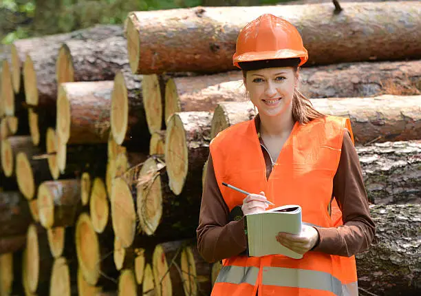 Young and beautiful forestry engineer at workYoung and beautiful forestry engineer at work