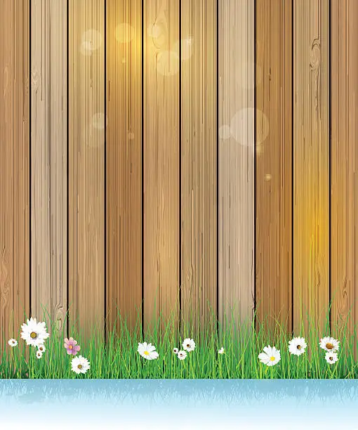Vector illustration of Spring natur, Green grass with white flower over wood fence