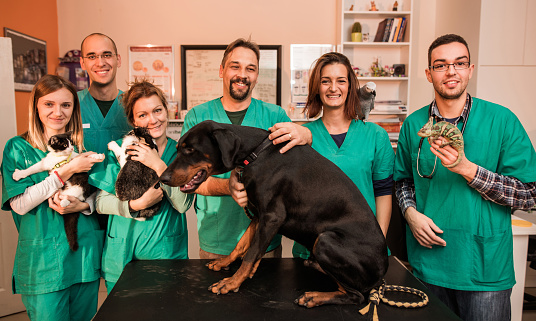 Large group of happy veterinarians standing in animal hospital with different pets and looking at the camera.
