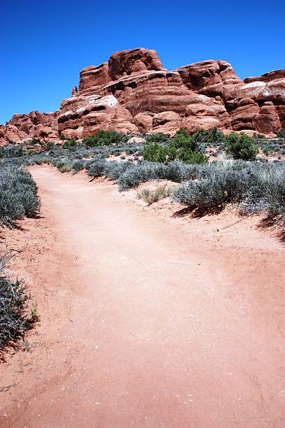 Trail between Upper and Lower Delicate Arch Viewpoint, Arches NationalPark Trail between the "Upper and Lower Delicate Arch Viewpoint" in the Arches National Park, Utah USA low viewing point stock pictures, royalty-free photos & images