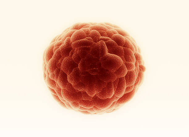 Cancer cell stock photo