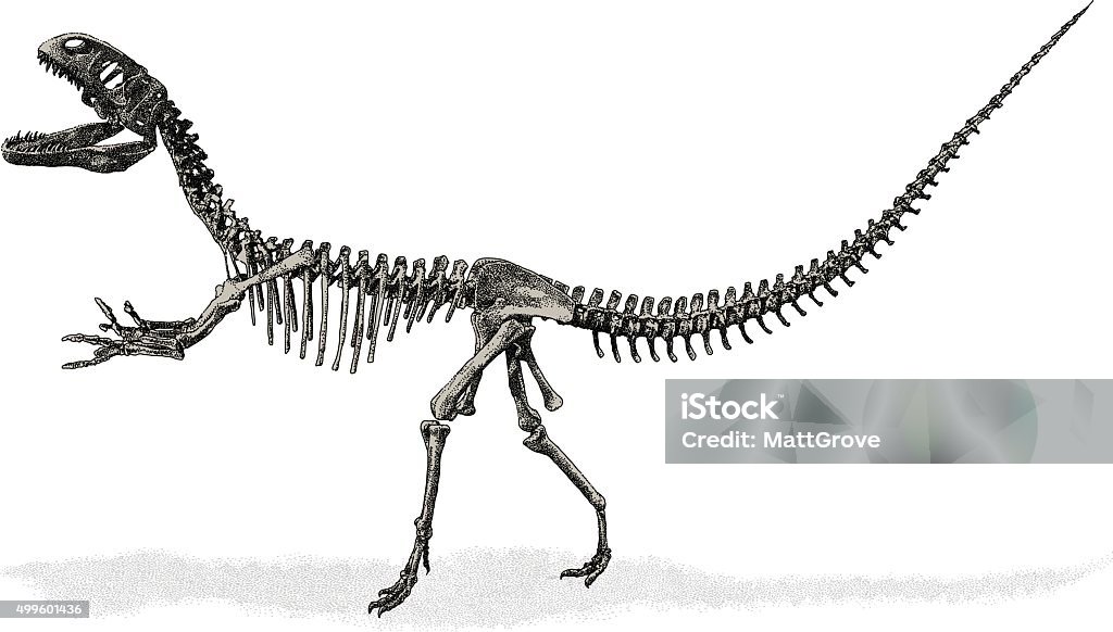 Dinosaur Skeleton Dinosaur Skeleton vector illustration. Additional EPS file contains the same image with lines in stroke form, allowing you to convert to a brush of your choosing. Colors are layered and grouped separately. Easily editable. Dinosaur stock vector