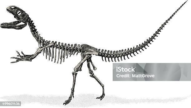 Dinosaur Skeleton Stock Illustration - Download Image Now - Dinosaur, Animal Skeleton, 2015