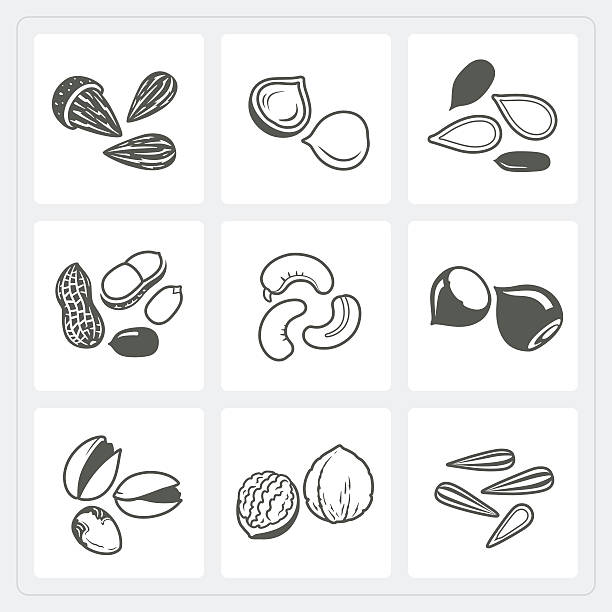 nuss-icons set - walnut nut nutshell peanut stock-grafiken, -clipart, -cartoons und -symbole