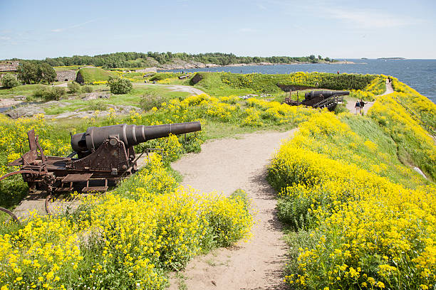 cánones y de colza en la isla suomenlinna fortification - suomenlinna fotografías e imágenes de stock