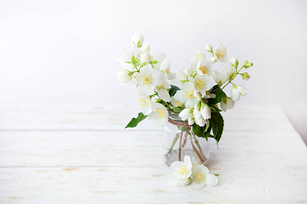 jasmine flowers on nature spring background. - vase texture stockfoto's en -beelden