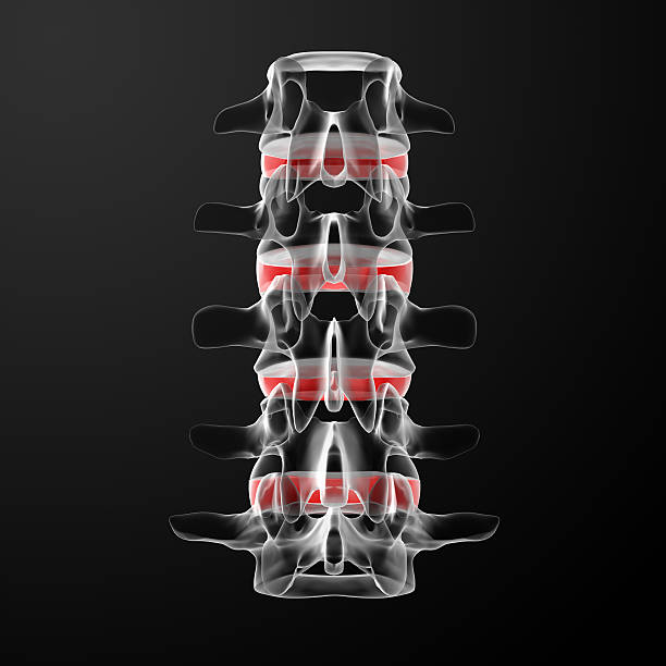 3 d render do homem, discos intervertebrais - human spine chiropractor three dimensional shape healthcare and medicine - fotografias e filmes do acervo