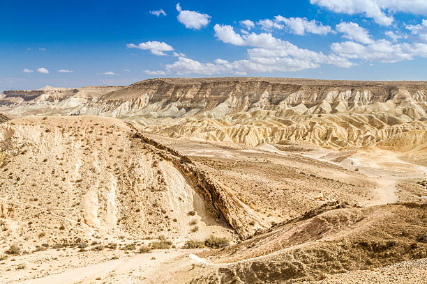istock Large Crater, Negev desert 499603550