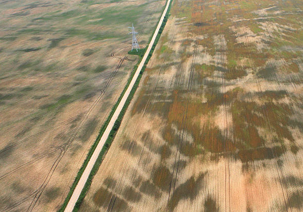 istock Country road aerial view 499604211