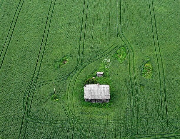 Fields from the sky stock photo
