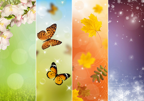 Nature background. Green grass, flower, butterfly and sheet of white paper
