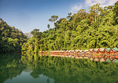 Rainforest Jungle Huts, Khao Sok National Park, Thailand