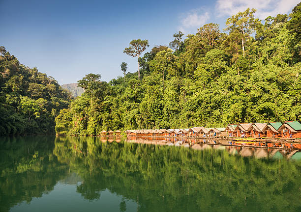 Rainforest Jungle Huts, Khao Sok National Park, Thailand Rainforest Jungle Huts, Khao Sok National Park, Thailand. Early morning light. kao sok national park stock pictures, royalty-free photos & images