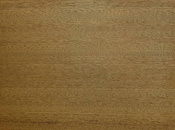 istock wood texture material real detail for render 499609916