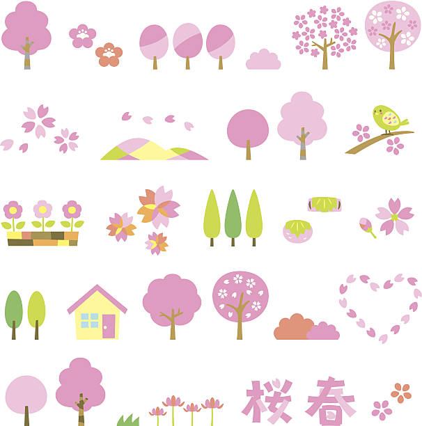 ilustraciones, imágenes clip art, dibujos animados e iconos de stock de árboles de sakura - kanji japanese script food japan