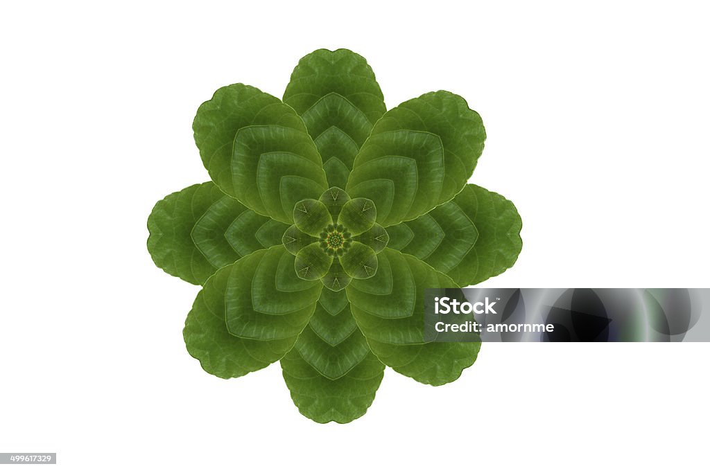 그룹생성 아이리스입니다 메트로폴리스 잎 - 로열티 프리 0명 스톡 사진