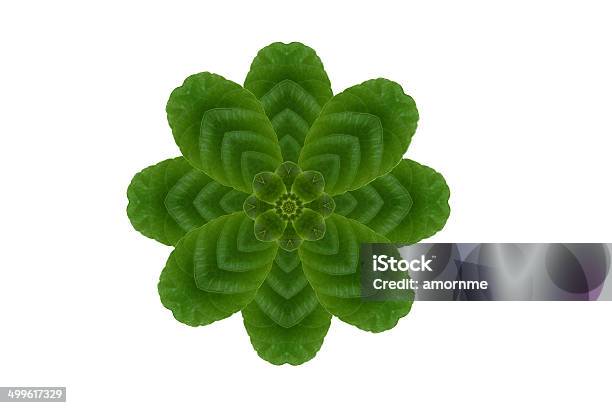 그룹생성 아이리스입니다 메트로폴리스 잎 0명에 대한 스톡 사진 및 기타 이미지 - 0명, 나뭇가지, 녹색