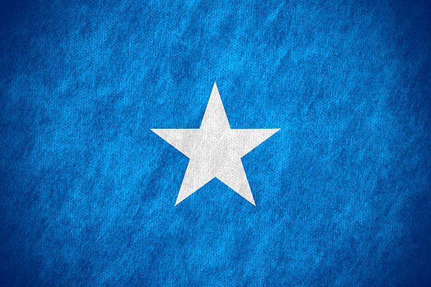 flag of Somalia or Somalian banner on canvas texture