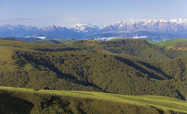 istock The view from the pass the Gum-Bashi. Karachay-Cherkessia 499618098