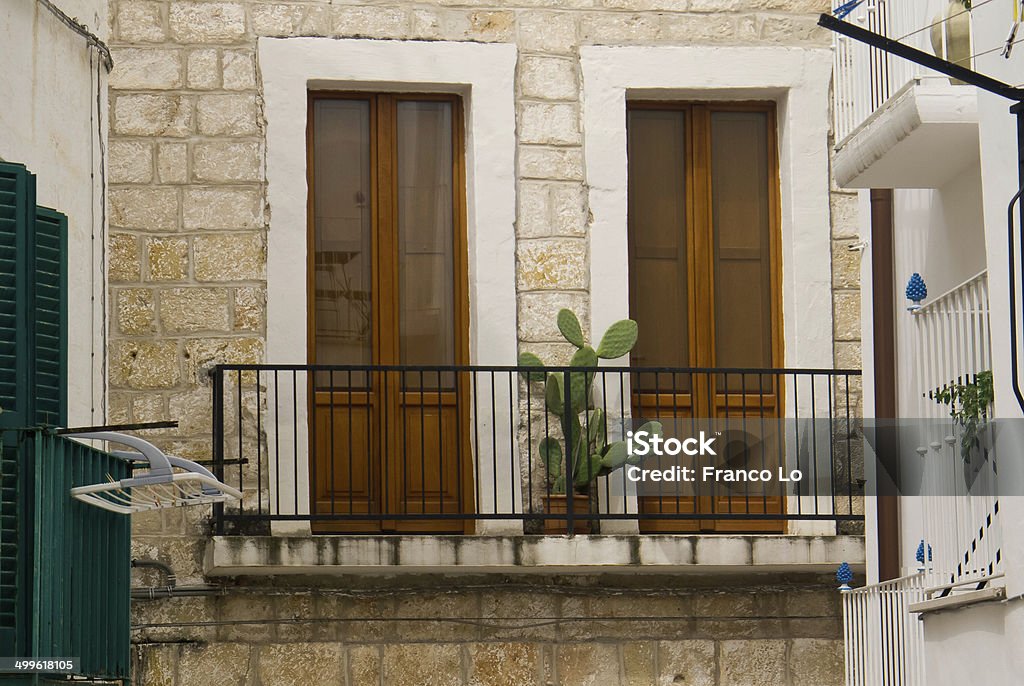 Twin windows. Urban view, plant prickly pear on the balcony and details of windows, wall and home accessories. Architecture Stock Photo