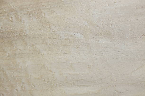 istock wood texture material real detail for render 499618806