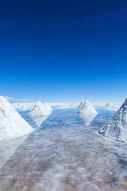 istock Salt harvest, Uyuni salar 499619277