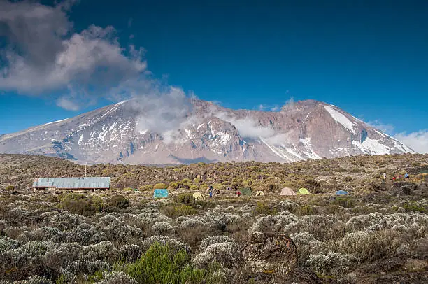 Looking up to Kilimanjaro from Shira campsite