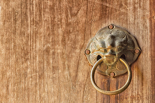 alte türklopfer - door knocker door lion luxury stock-fotos und bilder