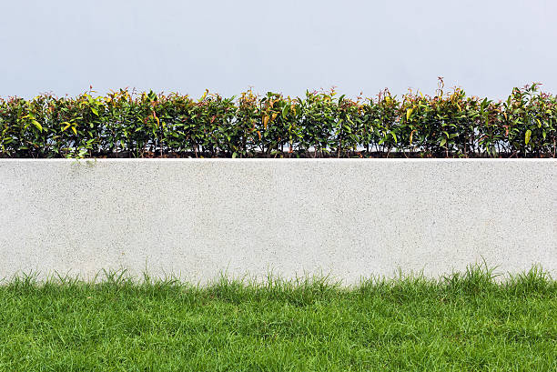 istock Stone wall and flora with grass in Garden 499620890