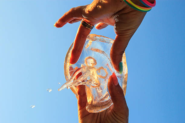 moon jellyfish stock photo