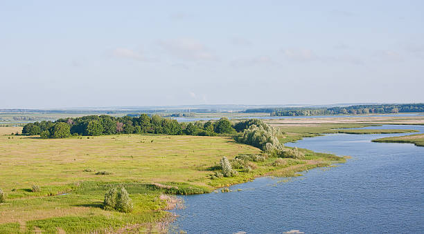 istock beautiful landscape by a sunny day ashore pond 499622393