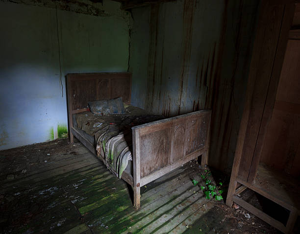 istock bed of abandoned dreams 499627940