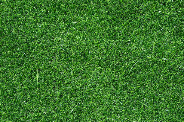 istock fake green grass field background 499628006