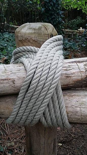 istock Tackling the wood fences 499628018