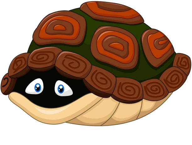 Turtle Hide Shell 50+ Turtle Hiding In Shell Stock Illustrations, Royalty-Free Vector ...