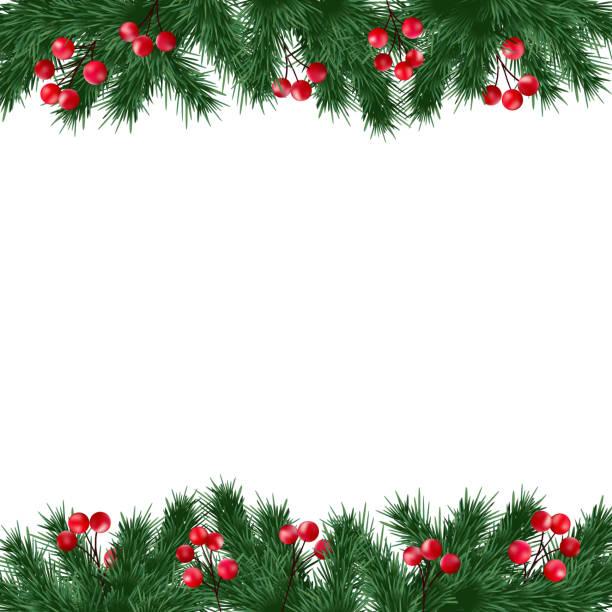 weihnachten grußkarte, tanne baum zweige und holly beeren-grenze - christmas tree christmas holly holiday stock-grafiken, -clipart, -cartoons und -symbole