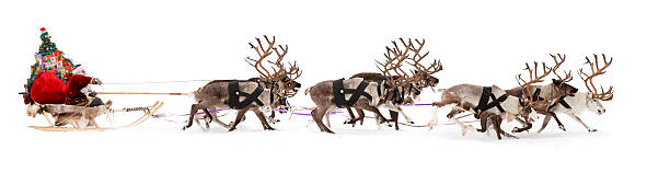 istock Santa Claus is sitting in a deer sleigh 499632446