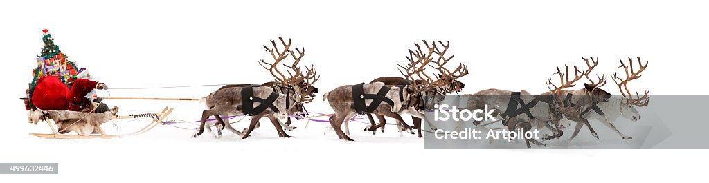 Santa Claus is sitting in a deer sleigh Santa Claus rides in a reindeer sleigh. He hastens to give gifts before Christmas. Animal Sleigh Stock Photo