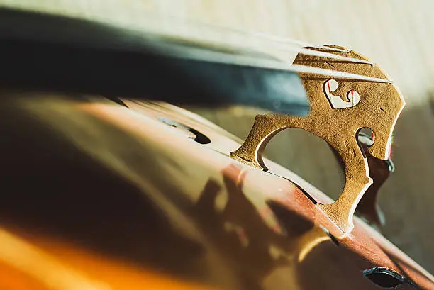 strings of an old contrabass closeup