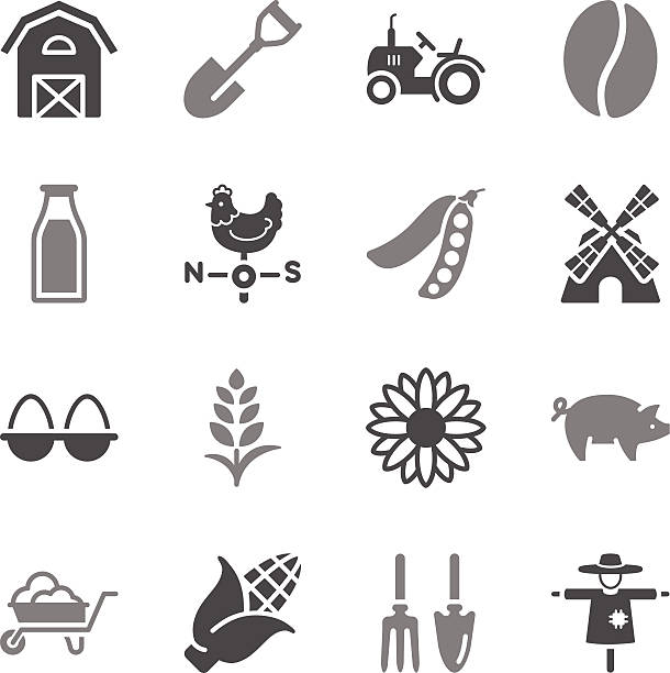 ilustrações de stock, clip art, desenhos animados e ícones de agricultura ícones de cor de cinzento - soybean isolated seed white background