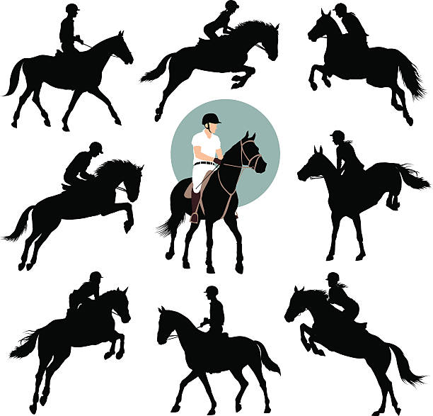 ilustraciones, imágenes clip art, dibujos animados e iconos de stock de deportes de equitación - caballo saltando