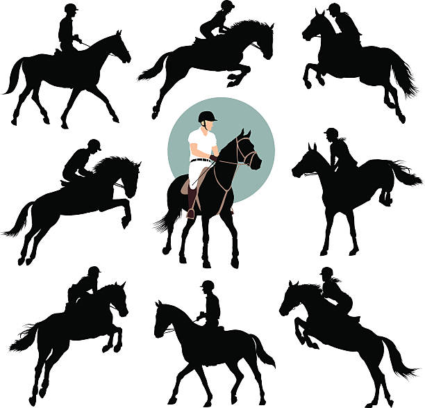 ilustrações de stock, clip art, desenhos animados e ícones de desporto equestre - hurdling hurdle vector silhouette