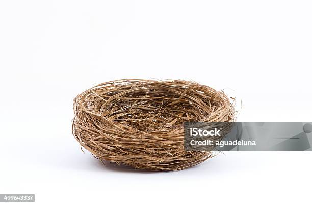 Empty Bird Nest On White Background Stock Photo - Download Image Now - Animal Nest, Bird's Nest, Cut Out