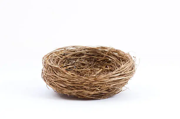 Studio shot of an empty bird nest isolated on white background