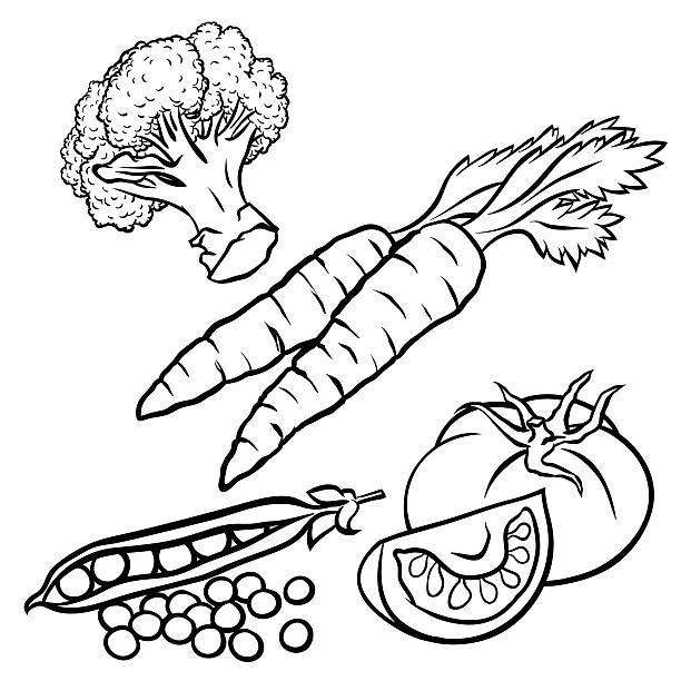 Vegetables Illustration for Coloring Book Design Vegetables Outline for Educational Coloring Book Design.Transparencies were not used to create this illustration. The download consists in an AI10 RGB EPS vector file as well as a high resolution RGB JPEG file (minimum 1900 x 2800 pixels). kids coloring pages stock illustrations